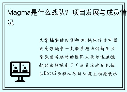 Magma是什么战队？项目发展与成员情况